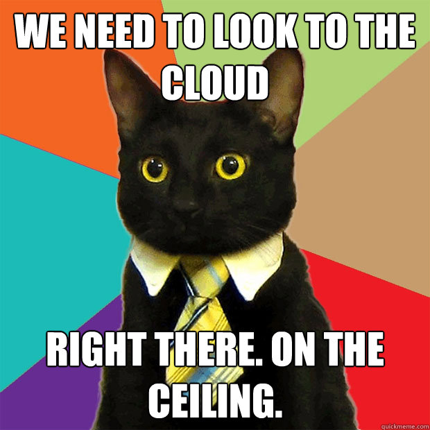 we need to look to the cloud RIGHT THERE. ON THE CEILING.  Business Cat