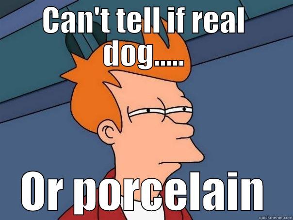 CAN'T TELL IF REAL DOG..... OR PORCELAIN Futurama Fry