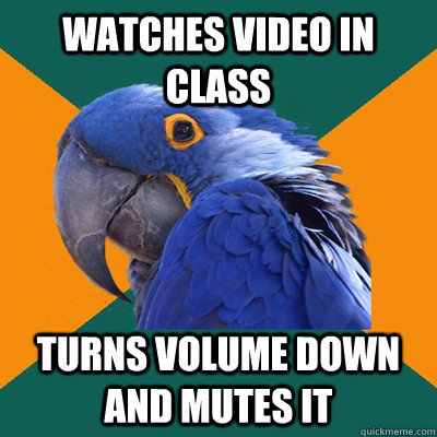 watches video in class turns volume down and mutes it  Paranoid Parrot