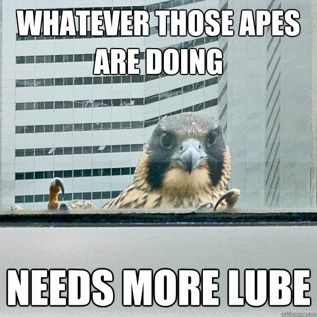 Whatever those apes are doing needs more lube - Whatever those apes are doing needs more lube  Window Hawk