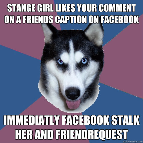 stange girl likes your comment on a friends caption on facebook immediatly facebook stalk her and friendrequest  Creeper Canine