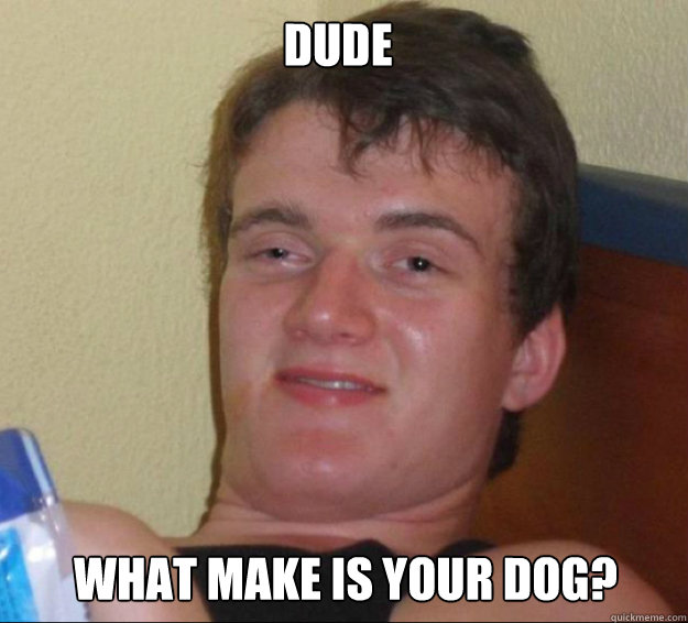 dude what make is your dog?  10guy