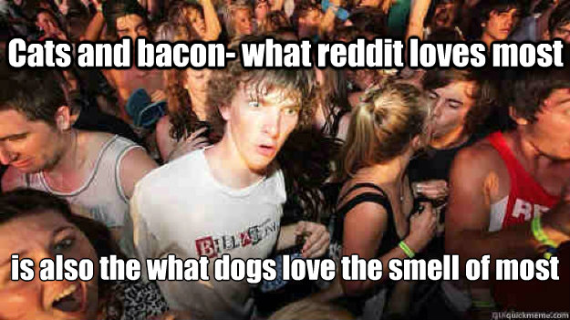 Cats and bacon- what reddit loves most is also the what dogs love the smell of most  Sudden Clarity Clarence