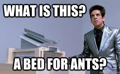 What is this? a bed for ants?  Zoolander