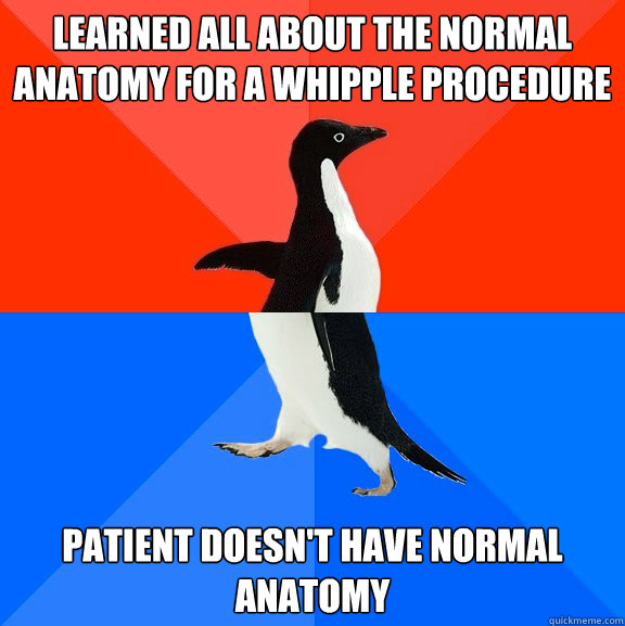 Learned all about the normal anatomy for a Whipple Procedure Patient doesn't have normal anatomy  Socially Awesome Awkward Penguin