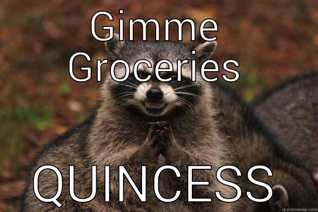 GIMME GROCERIES QUINCESS Evil Plotting Raccoon