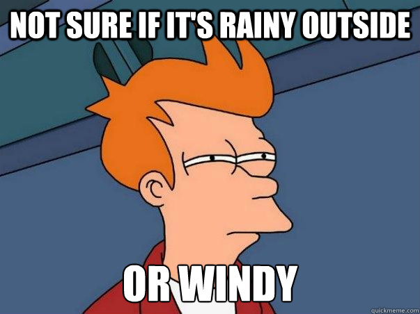 Not sure if it's rainy outside or windy  Not sure Fry