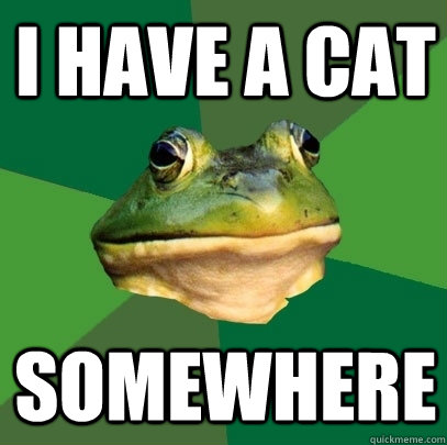 I have a cat Somewhere  Foul Bachelor Frog