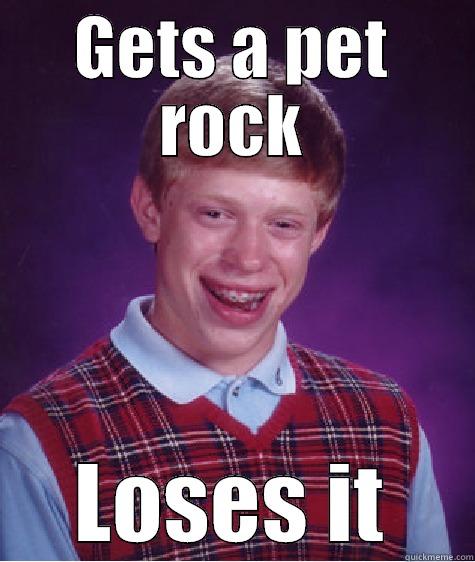 Pet rock Brian - GETS A PET ROCK LOSES IT Bad Luck Brian
