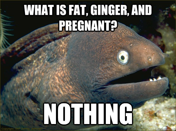 What is fat, ginger, and pregnant? Nothing - What is fat, ginger, and pregnant? Nothing  Bad Joke Eel