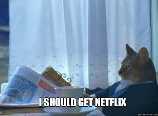 I should get Netflix - I should get Netflix  I should buy a cat