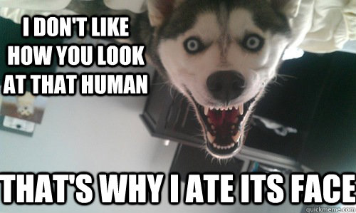 I don't like how you look at that human That's why I ate its face  