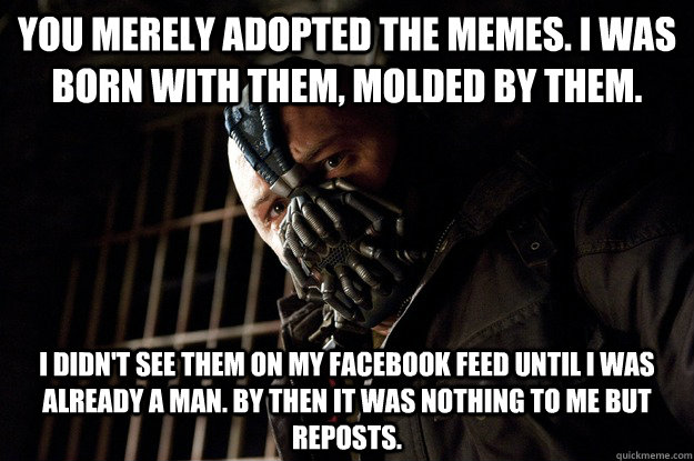 you merely adopted the memes. i was born with them, molded by them. i didn't see them on my facebook feed until i was already a man. by then it was nothing to me but reposts. - you merely adopted the memes. i was born with them, molded by them. i didn't see them on my facebook feed until i was already a man. by then it was nothing to me but reposts.  Angry Bane