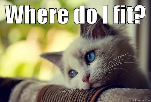  WHERE DO I FIT?   First World Problems Cat