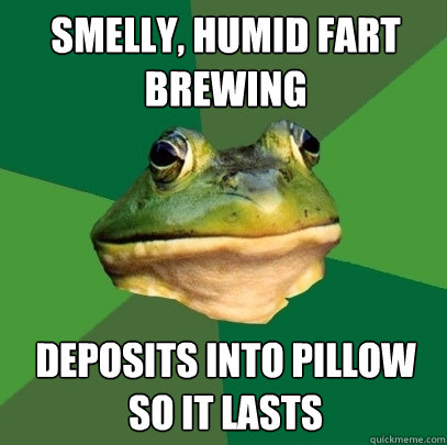 smelly, humid fart brewing deposits into pillow so it lasts  Foul Bachelor Frog