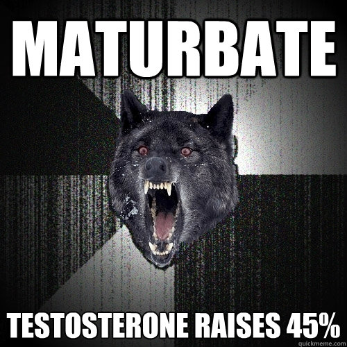 maturbate testosterone raises 45%  Insanity Wolf