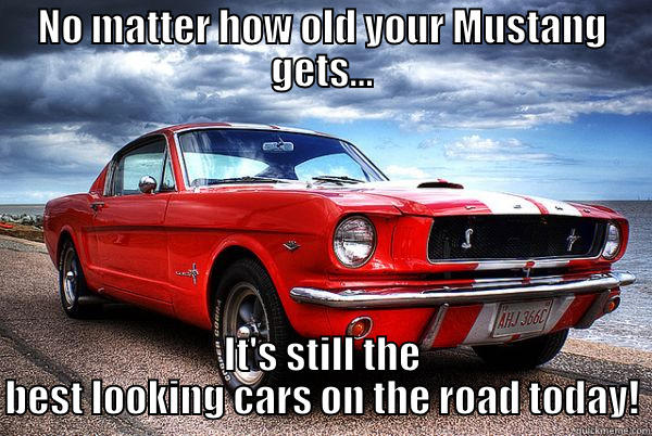 Because Mustang - NO MATTER HOW OLD YOUR MUSTANG GETS... IT'S STILL THE BEST LOOKING CARS ON THE ROAD TODAY! Misc