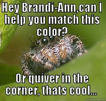 HEY BRANDI-ANN,CAN I HELP YOU MATCH THIS COLOR? OR QUIVER IN THE CORNER, THATS COOL...  Misunderstood Spider