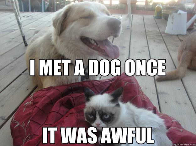 I MET A DOG ONCE IT WAS AWFUL - I MET A DOG ONCE IT WAS AWFUL  Misc