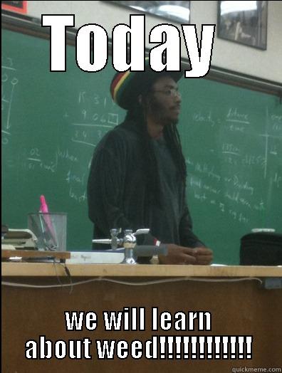 TODAY  WE WILL LEARN ABOUT WEED!!!!!!!!!!!! Rasta Science Teacher
