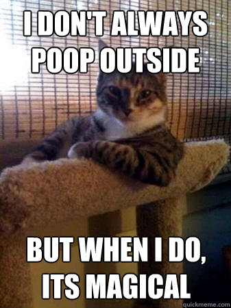I don't always poop outside  but when I do, its magical  The Most Interesting Cat in the World