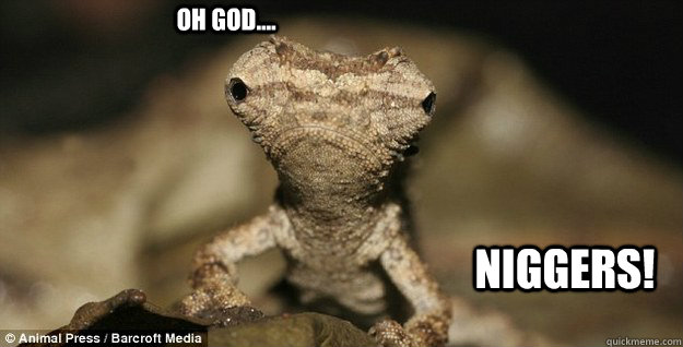 oh god.... niggers! - oh god.... niggers!  Misc
