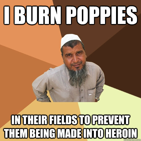 I burn poppies in their fields to prevent them being made into heroin  Ordinary Muslim Man