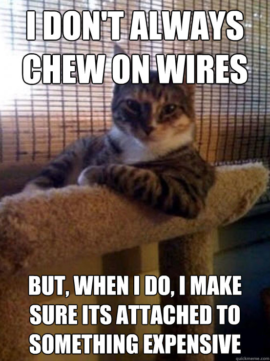 I don't always chew on wires But, when I do, I make sure its attached to something expensive  The Most Interesting Cat in the World