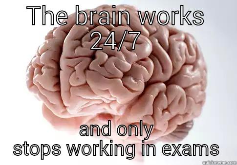 THE BRAIN WORKS 24/7 AND ONLY STOPS WORKING IN EXAMS Scumbag Brain