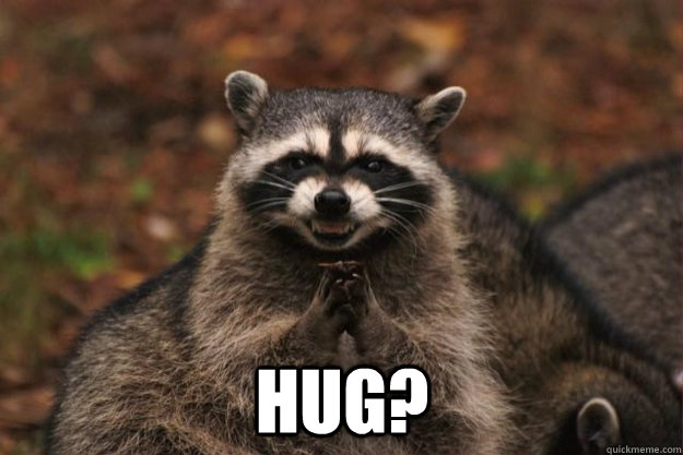  HUG? -  HUG?  cheap racoon