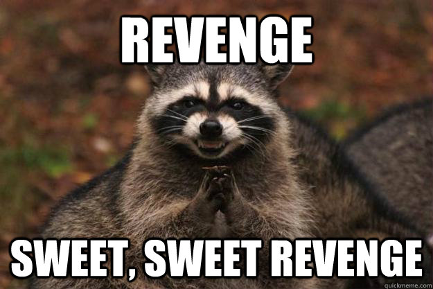 revenge Sweet, sweet revenge  Evil Plotting Raccoon