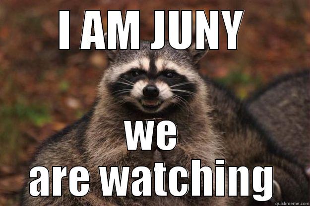 I AM JUNY WE ARE WATCHING Evil Plotting Raccoon