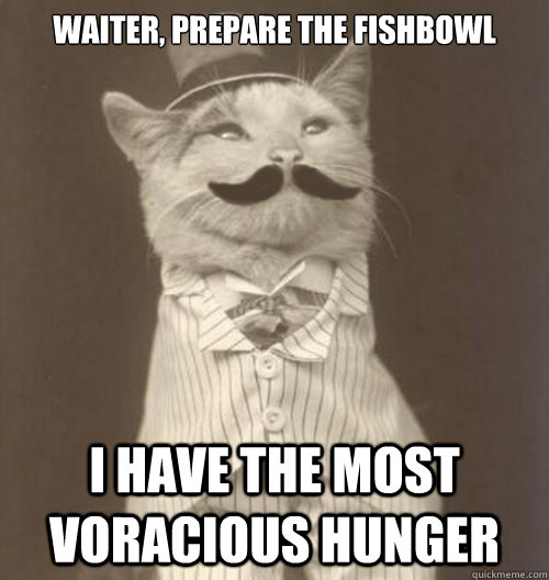 Waiter, prepare the fishbowl I have the most voracious hunger  Original Business Cat