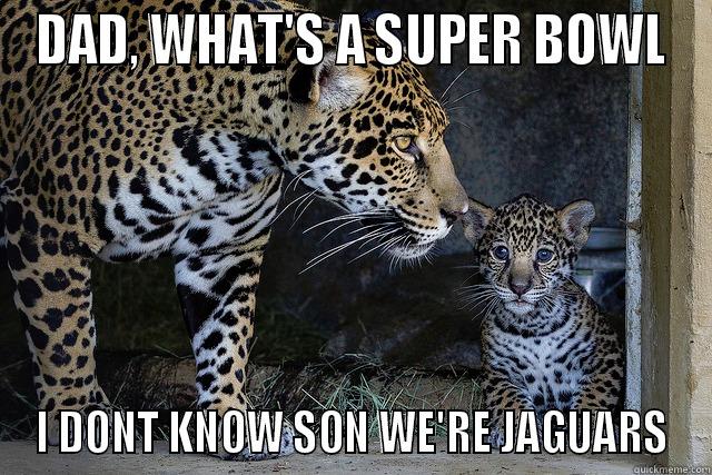 Jaguars Super Bowl - DAD, WHAT'S A SUPER BOWL I DONT KNOW SON WE'RE JAGUARS Misc