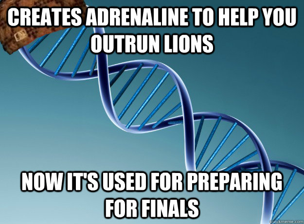 creates adrenaline to help you outrun lions now it's used for preparing for finals - creates adrenaline to help you outrun lions now it's used for preparing for finals  Scumbag Genetics