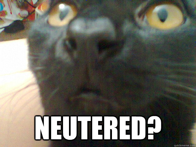  Neutered? -  Neutered?  Desiland Meme