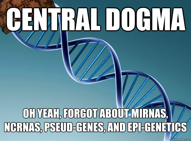 Central Dogma Oh yeah, Forgot about miRNAs, NCRNAs, Pseud-Genes, and Epi-Genetics - Central Dogma Oh yeah, Forgot about miRNAs, NCRNAs, Pseud-Genes, and Epi-Genetics  Scumbag Genetics