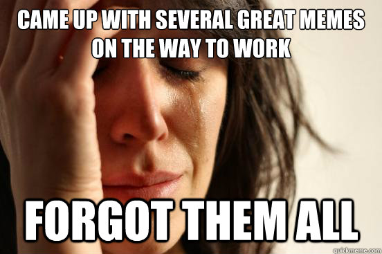 CAME UP WITH SEVERAL GREAT MEMES ON THE WAY TO WORK FORGOT THEM ALL  First World Problems