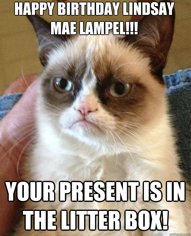 Happy Birthday Lindsay Mae Lampel!!! Your present is in the litter box!  grumpy cat birthday
