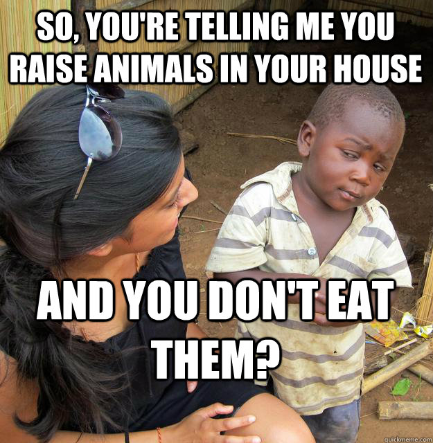 So, you're telling me you raise animals in your house and you don't eat them?  Skeptical Black Kid