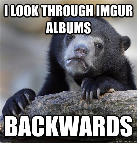 i look through imgur albums backwards  Confession Bear