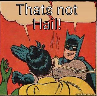 THATS NOT HAIL!  Slappin Batman