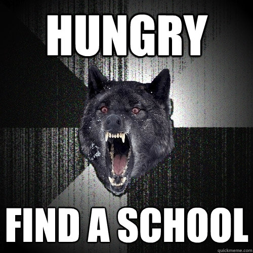 hungry find a school  Insanity Wolf
