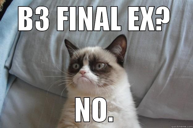 b3 final ex? no. - B3 FINAL EX? NO. Grumpy Cat