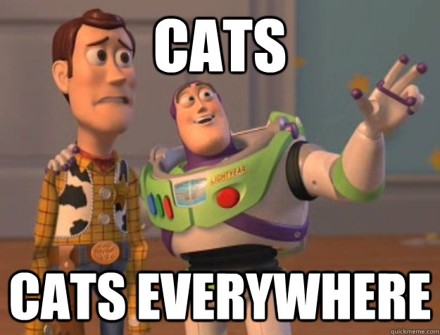 Cats cats everywhere  Buzz Lightyear