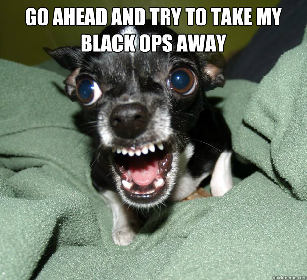 Go ahead and try to take my black ops away   Chihuahua Logic