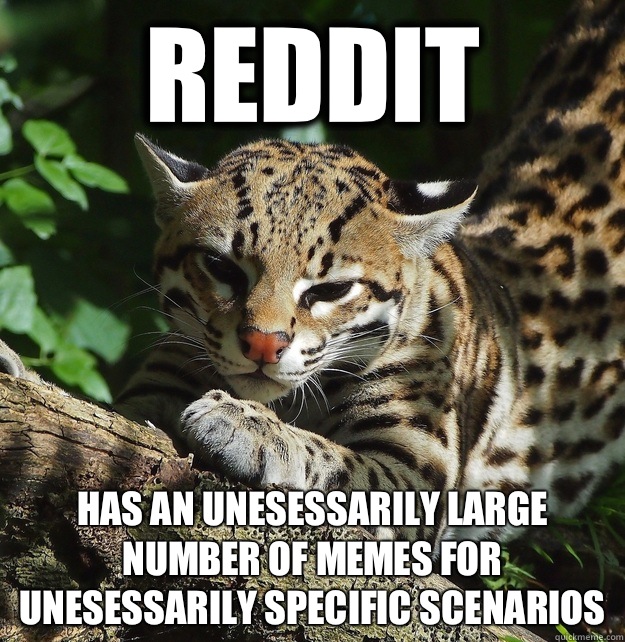 Reddit Has an unesessarily large number of memes for unesessarily specific scenarios  