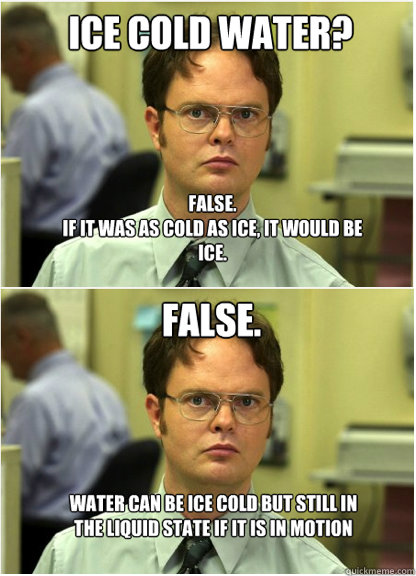    Dwight Schrute Owns Dwight Schrute