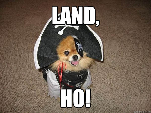 LAND, HO!  Inappropriate Sexual Innuendo Dog That Talks and Dresses Like a Pirate