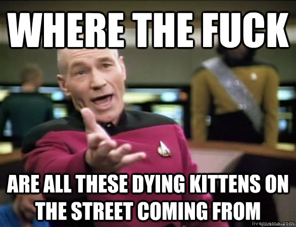 where the fuck are all these dying kittens on the street coming from  Annoyed Picard HD